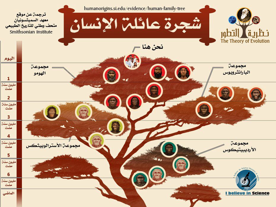 Our Family Tree An Evolution Story Pdf