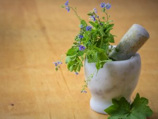 طب الاعشاب المداواة الطبيعية naturopathy