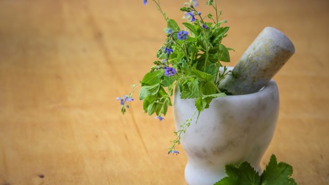طب الاعشاب المداواة الطبيعية naturopathy طب الاعشاب المداواة الطبيعية naturopathy
