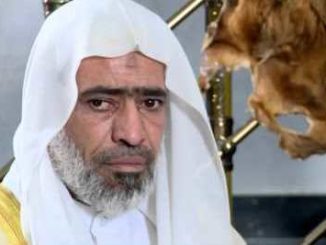 الدجال ابو احمد الوائلي