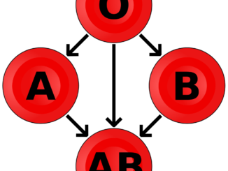 AB and O