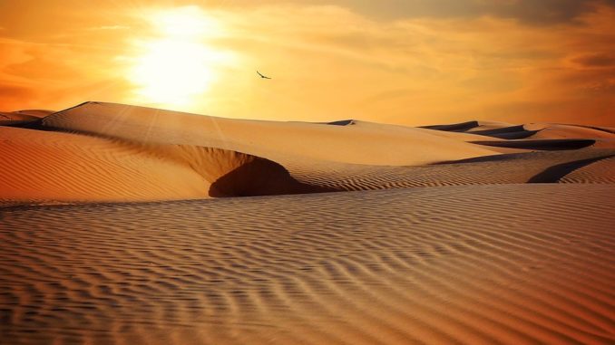 صحراء صحراء