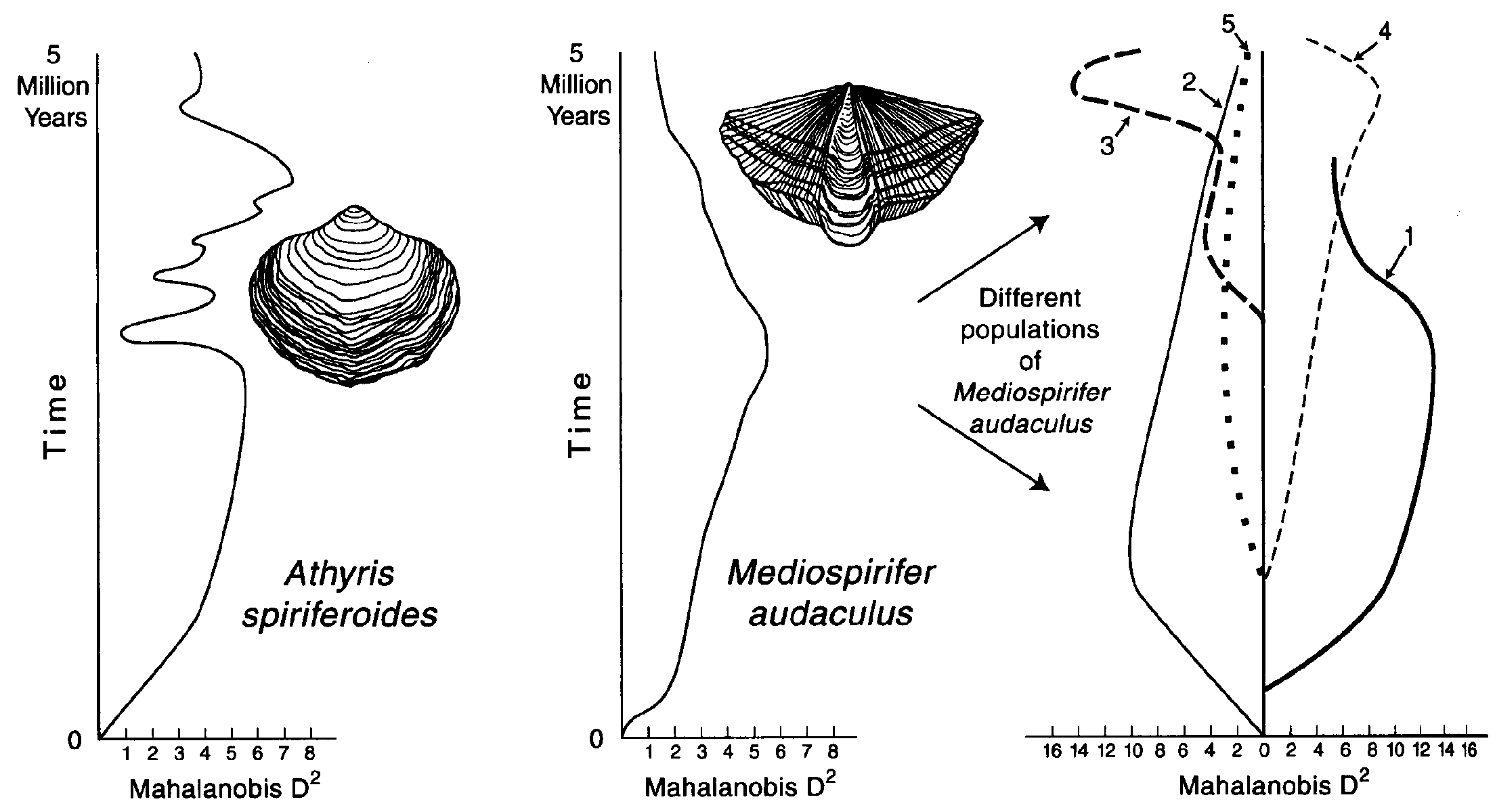 صورة 5- أنماط الركود في فصائل العصر الديفوني