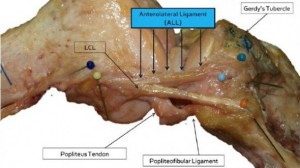 tmp_17617-ALL-590x330238069280