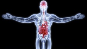 tmp_28117-Gut_and_Brain-1910208524