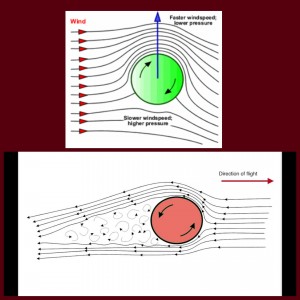 tmp_8116-PhotoGrid_1437146019570605826261