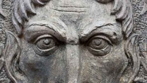 tmp_1334-shutter_mn.jpg.560x0_q80_crop-smart2054099489