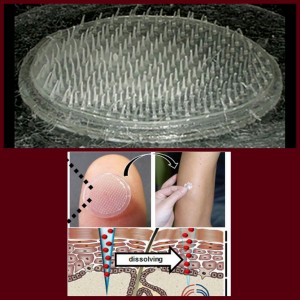 tmp_31418-PhotoGrid_14393798111601095566884