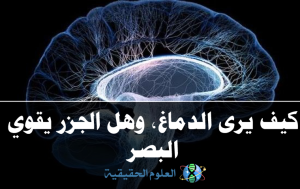العلوم الحقيقةثب