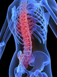 blue-see-through-body-with-pink-spine
