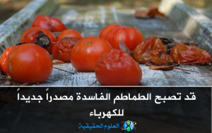 العلوم الحقيقة