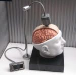 تقنية الليزر للتحكم بالدماغ