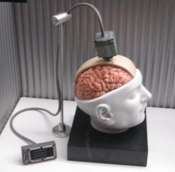 استخدام تقنية الليزر للتحكم في دماغ الفئران