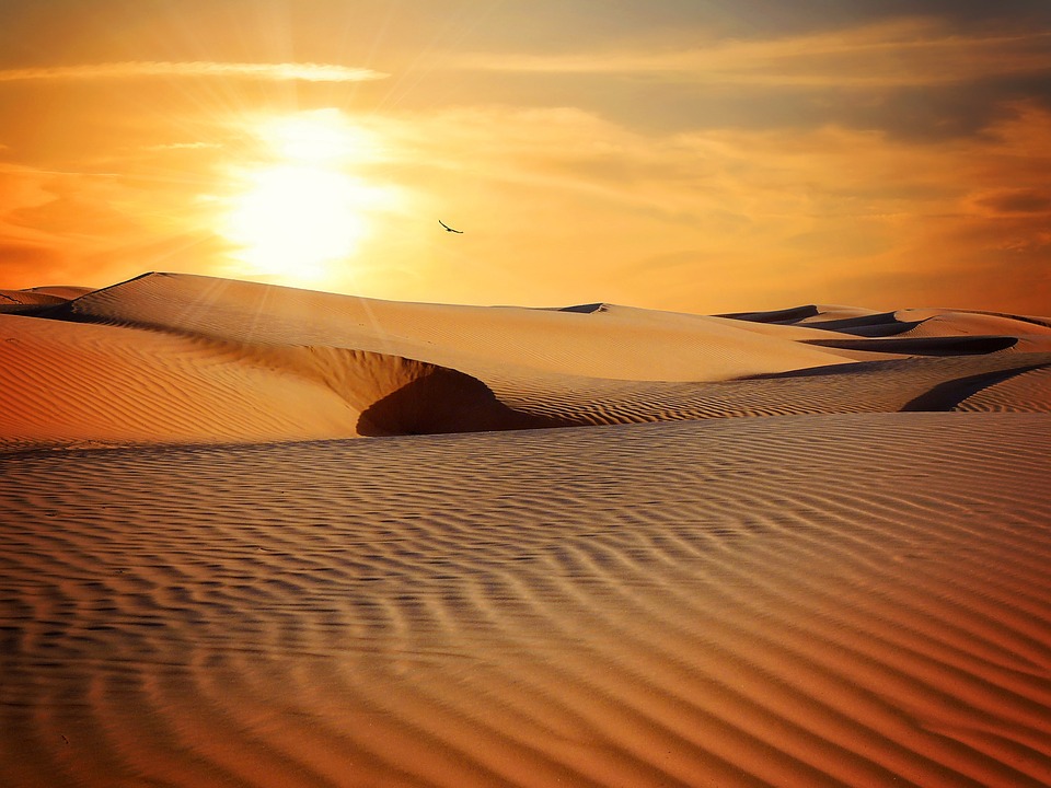 الجفاف سبب لتغيير تاريخي في شبه الجزيرة العربية