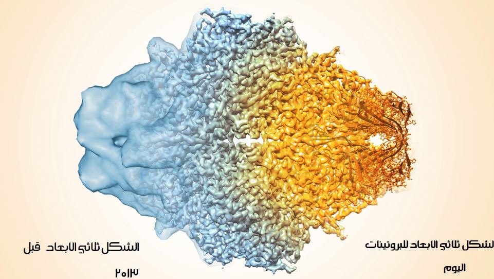 جائزة نوبل للكيمياء 2017 الشكل ثلاثي الابعاد للبروتينات