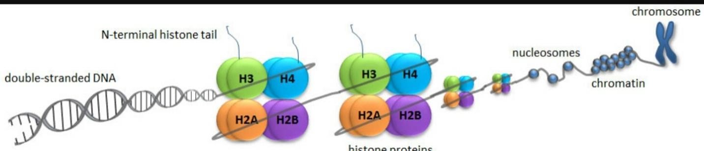 Div mod. Формулы нахождения площадей геометрических фигур. Сплит тестирование. A h a b что это. B&h photo.