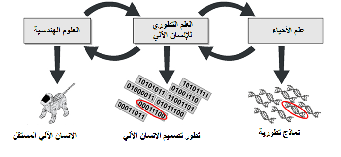 الانتخاب الطبيعي للانسان الالي 2