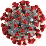فيروس Novel coronavirus