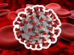 فيروس-كورونا-والهيموغلوبين