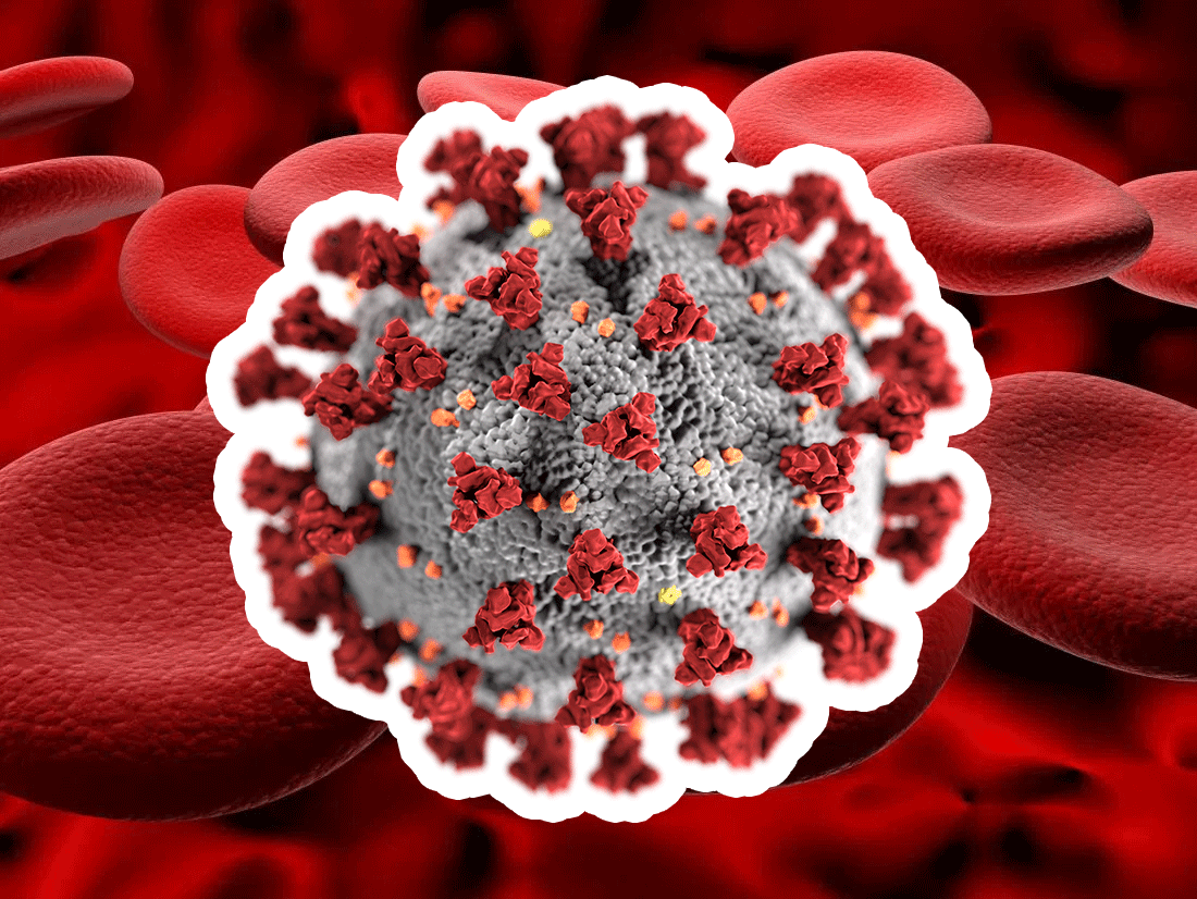 ما مدى دقة الدراسة حول مهاجمة فيروس كورونا للهيموغلوبين؟