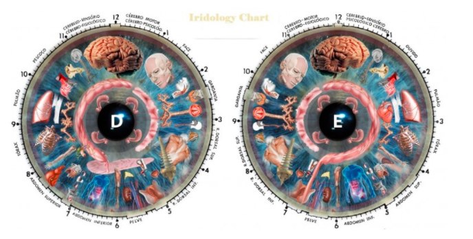 علم القزحية