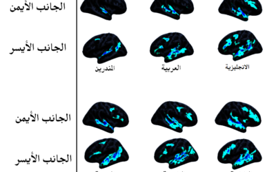 شبكة اللغة في الدماغ تحت ضوء دراسة 12 عائلة لغوية و45 لغة