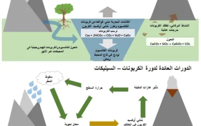 دورة الكربونات – السيليكات ودورها التاريخي في تغير المناخ
