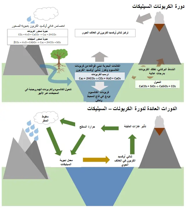دورة الكربونات السيليكات دورة الكربونات السيليكات
