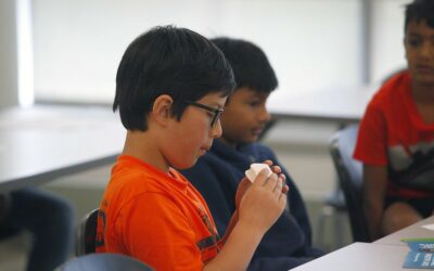 شكوك حول تجربة المارشملو