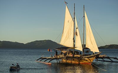 التوسع الاسترونيزي: كيف استوطن البشر جزر المحيط الهادي؟