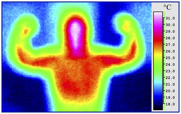 الحرارة جسم الانسان